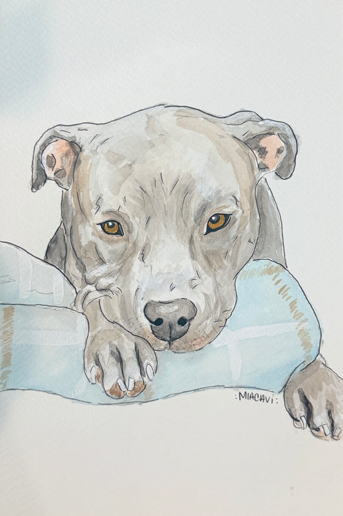 Mini Custom Pet Portrait